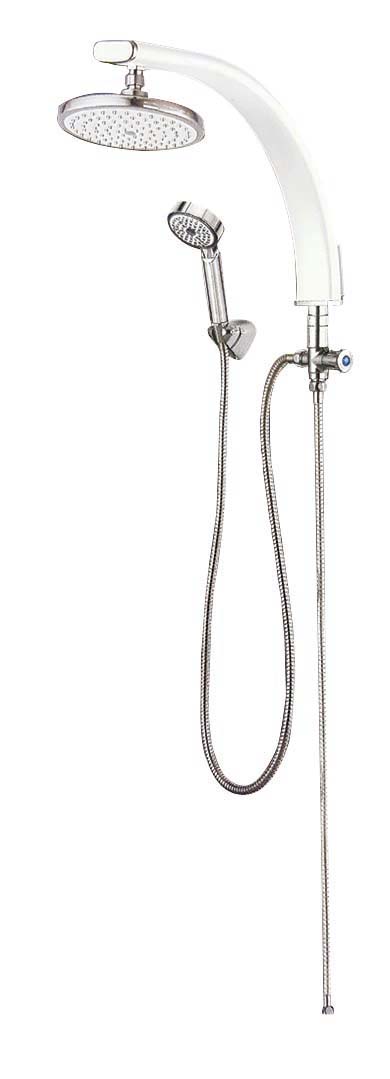 해바라기 화이트